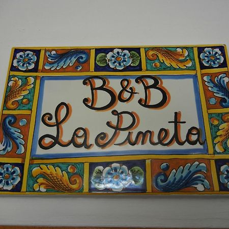 B&B La Pineta Реджо-ди-Калабрия Экстерьер фото